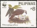 Philippine Eagle (Pithecophaga jefferyi)